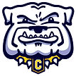 Linden High School Football